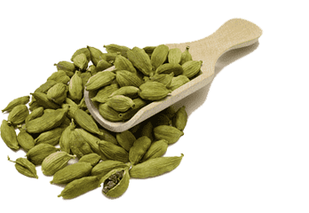 Indian Cuisine Restaurants